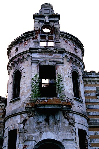 Sudogodsk district. Muromtsevo. Estate of Khrapovitsky. Palace. �IX