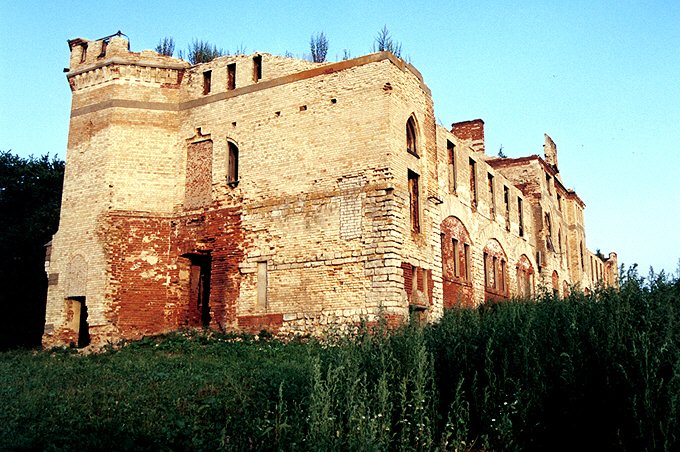 Sudogodsk district. Muromtsevo. Estate of Khrapovitsky. Palace. �IX