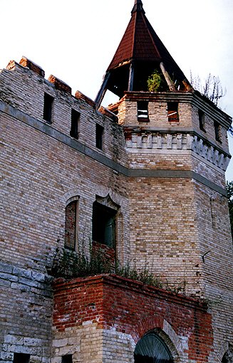 Sudogodsk district. Muromtsevo. Estate of Khrapovitsky. Palace. �IX